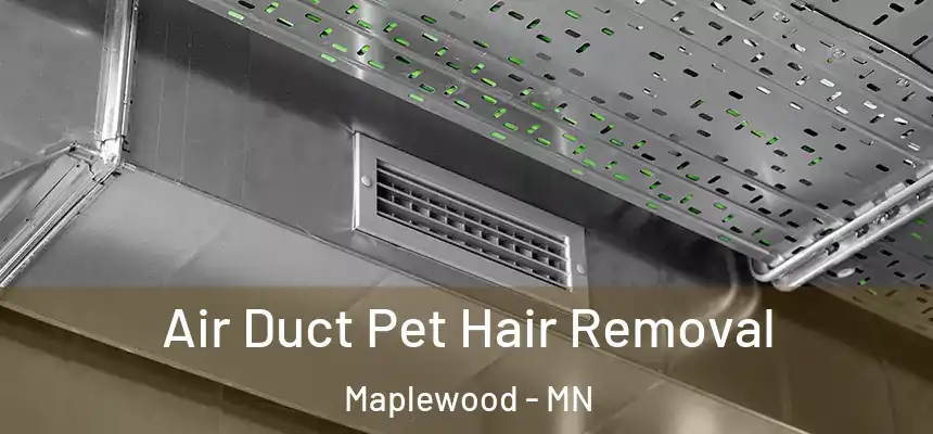  Air Duct Pet Hair Removal Maplewood - MN