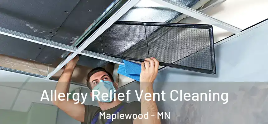 Allergy Relief Vent Cleaning Maplewood - MN