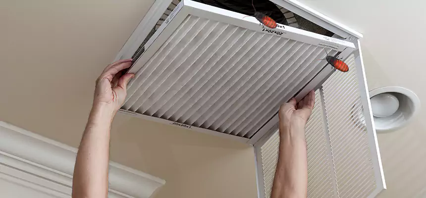 Preventive Cockroach-Proofing for Ducts in Maplewood