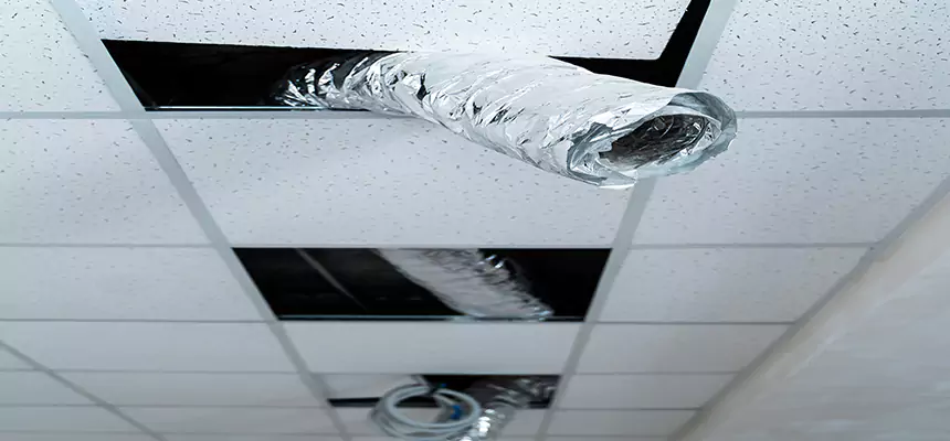 Our Air Duct Pet Hair Removal Services in Maplewood, MN