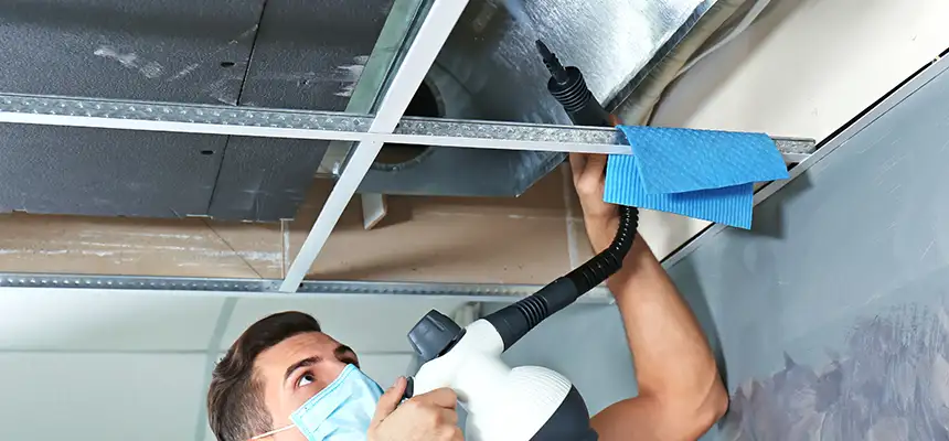 Our Air Duct Rodent Removal Services in Maplewood, MN