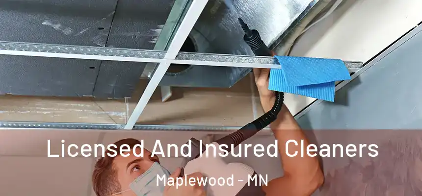  Licensed And Insured Cleaners Maplewood - MN