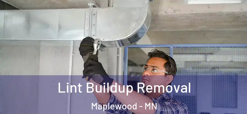  Lint Buildup Removal Maplewood - MN