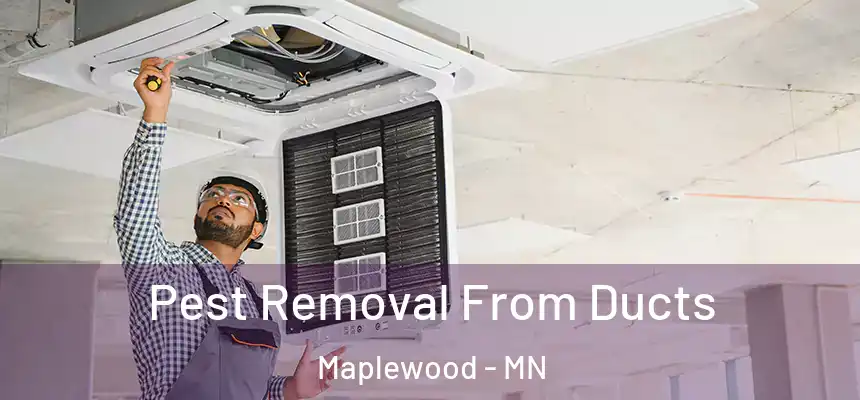 Pest Removal From Ducts Maplewood - MN