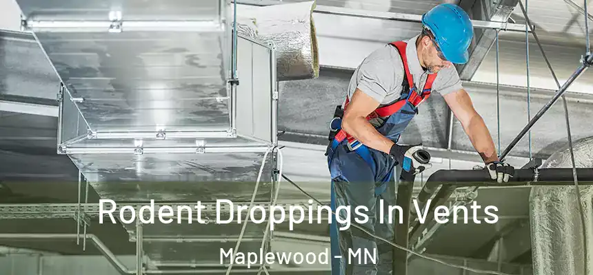  Rodent Droppings In Vents Maplewood - MN