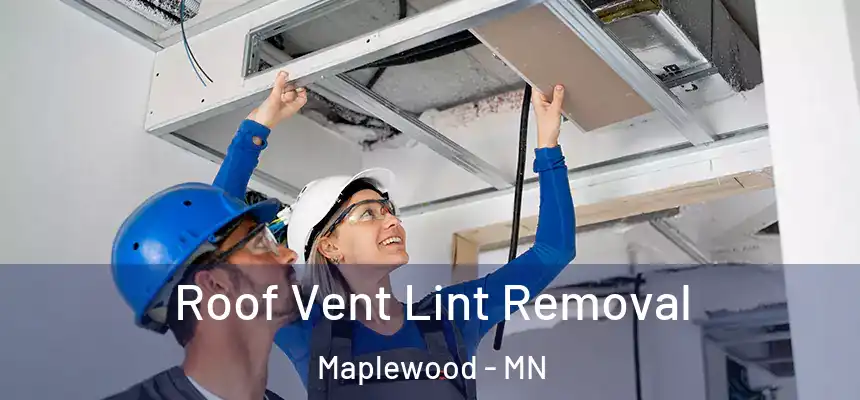  Roof Vent Lint Removal Maplewood - MN