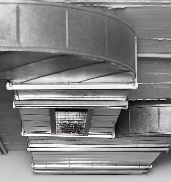 Professional Air Duct Pet Hair Removal in Maplewood, MN