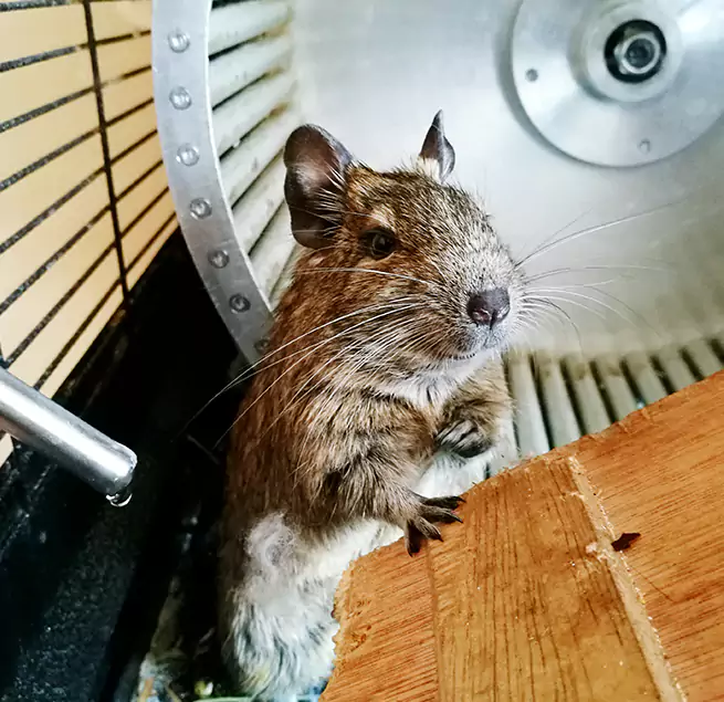 Why Homeowners & Businesses Trust Us Maplewood, MN?